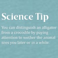 Crocodile Alligator Funny Science Tip Sueded Cloud Jersey T-Shirt