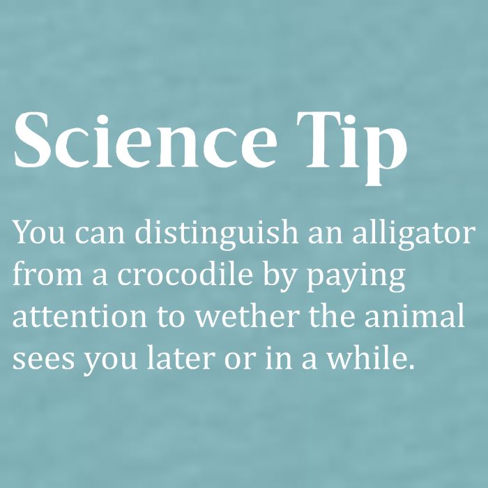 Crocodile Alligator Funny Science Tip Sueded Cloud Jersey T-Shirt