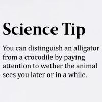 Crocodile Alligator Funny Science Tip Garment-Dyed Sweatshirt