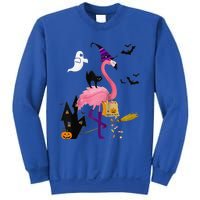 Cute And Fun Halloween Trick Or Treat Witch Flamingo Raglan Baseball Sweatshirt