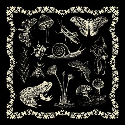 Cottagecore Aesthetic Frog And Mushroom Goblincore T-Shirt