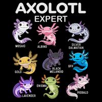 Cute Axolotl For & Or  - Axolotl Bucket Hat
