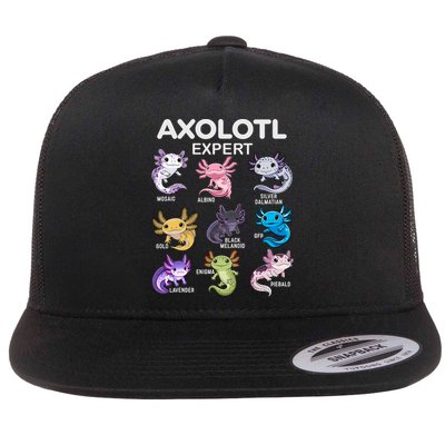Cute Axolotl For & Or  - Axolotl Flatbill Hat