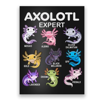 Cute Axolotl For & Or  - Axolotl Poster
