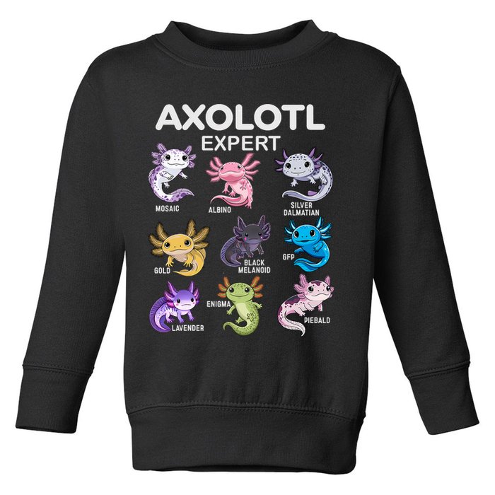 Cute Axolotl For & Or  - Axolotl Toddler Sweatshirt