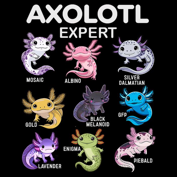 Cute Axolotl For & Or  - Axolotl Toddler T-Shirt