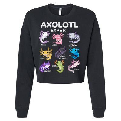 Cute Axolotl For & Or  - Axolotl Cropped Pullover Crew