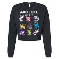 Cute Axolotl For & Or  - Axolotl Cropped Pullover Crew