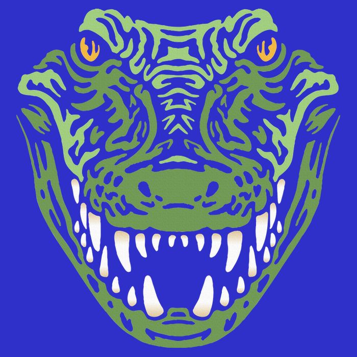Crocodile Alligator Face Crocodiles Gator T-Shirt