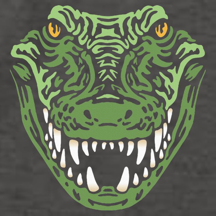 Crocodile Alligator Face Crocodiles Gator Vector Backpack