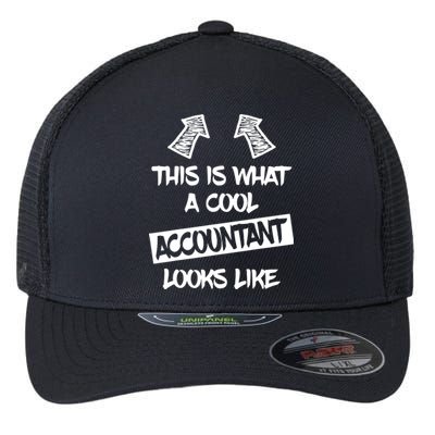 Cool Accountant Funny Saying Accountants Bookkeepers Flexfit Unipanel Trucker Cap