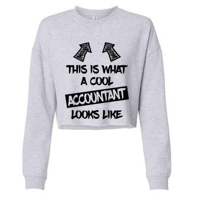 Cool Accountant Funny Saying Accountants Bookkeepers Cropped Pullover Crew