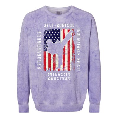 Cool American Flag Taekwondo Gift Tae Kwon Do Martial Arts Colorblast Crewneck Sweatshirt