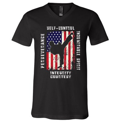 Cool American Flag Taekwondo Gift Tae Kwon Do Martial Arts V-Neck T-Shirt