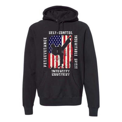 Cool American Flag Taekwondo Gift Tae Kwon Do Martial Arts Premium Hoodie