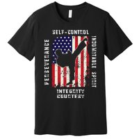 Cool American Flag Taekwondo Gift Tae Kwon Do Martial Arts Premium T-Shirt