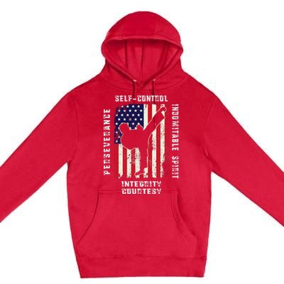 Cool American Flag Taekwondo Gift Tae Kwon Do Martial Arts Premium Pullover Hoodie