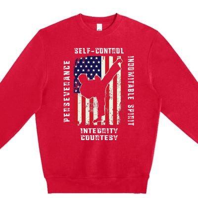 Cool American Flag Taekwondo Gift Tae Kwon Do Martial Arts Premium Crewneck Sweatshirt