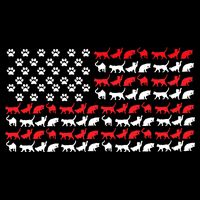 Cat American Flag USA Paws Patriotic Drawstring Bag