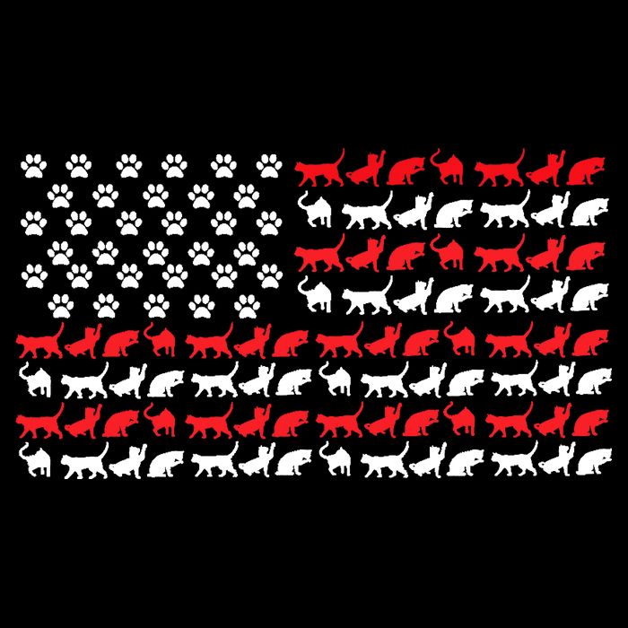 Cat American Flag USA Paws Patriotic Drawstring Bag