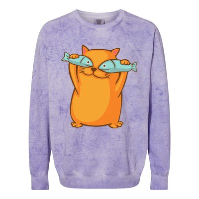 Cute And Funny Ginger Cat Has Fish Eyes Kitty Kitten Joke Colorblast Crewneck Sweatshirt