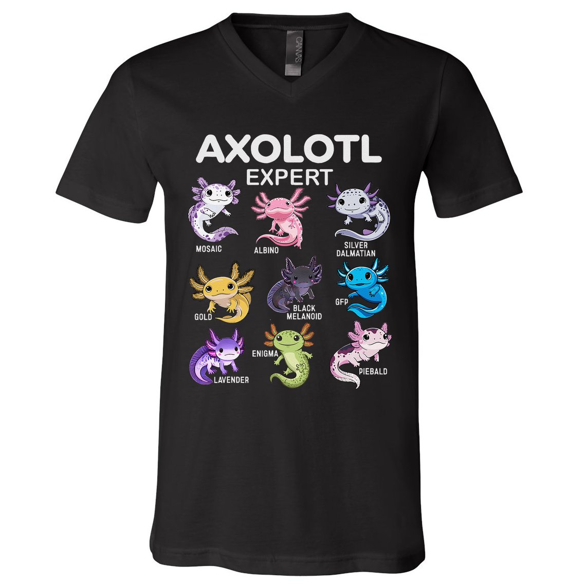 Cute Axolotl Girl Axolotl Gift V-Neck T-Shirt