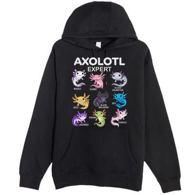 Cute Axolotl Girl Axolotl Gift Premium Pullover Hoodie