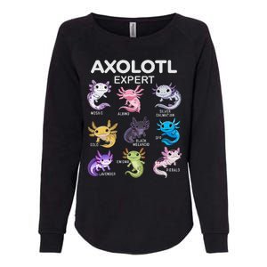 Cute Axolotl Girl Axolotl Gift Womens California Wash Sweatshirt