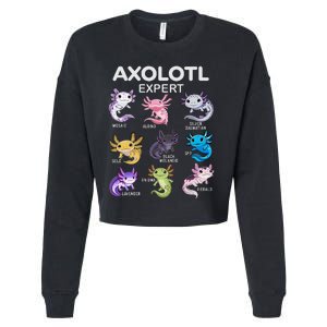 Cute Axolotl Girl Axolotl Gift Cropped Pullover Crew