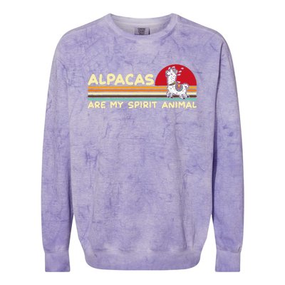 Cute alpaca groups design, alpacas are my spirit animal Colorblast Crewneck Sweatshirt