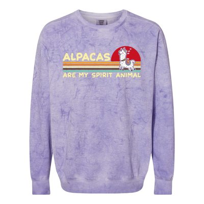 Cute Alpaca Groups Design Alpacas Are My Spirit Animal Colorblast Crewneck Sweatshirt