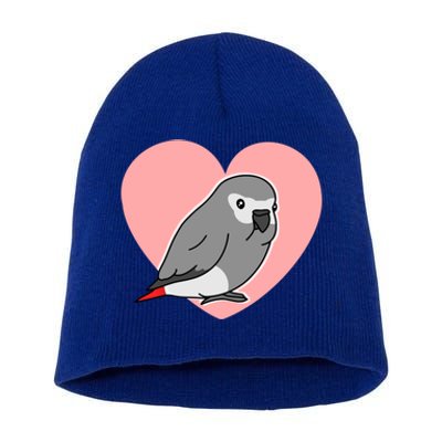 Chubby African Grey Love Heart Parrot Pastel Kawaii Birb Gift Short Acrylic Beanie