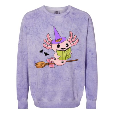 Cute Axolotl Halloween Axolotl Witch Casting Spells Colorblast Crewneck Sweatshirt