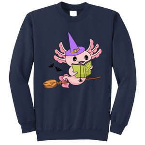 Cute Axolotl Halloween Axolotl Witch Casting Spells Sweatshirt