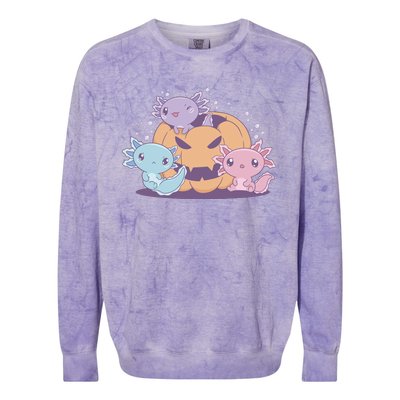 Cute Axolotl Halloween Pumpkin Colorblast Crewneck Sweatshirt