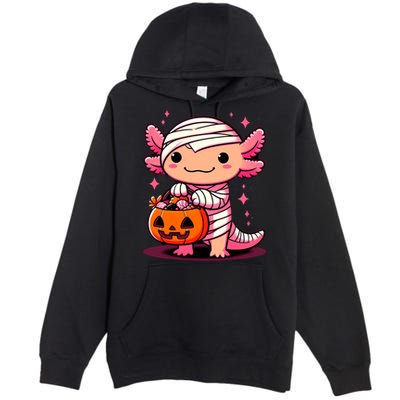 Cute Axolotl Halloween Costume Premium Pullover Hoodie