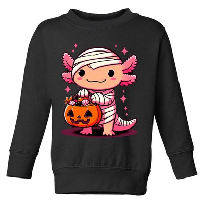 Cute Axolotl Halloween Costume Toddler Sweatshirt