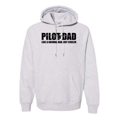 C172 Aviation Humor Funny Pilot Father Pilot Dad Premium Hoodie