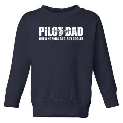 C172 Aviation Humor Funny Pilot Father Pilot Dad Toddler Sweatshirt