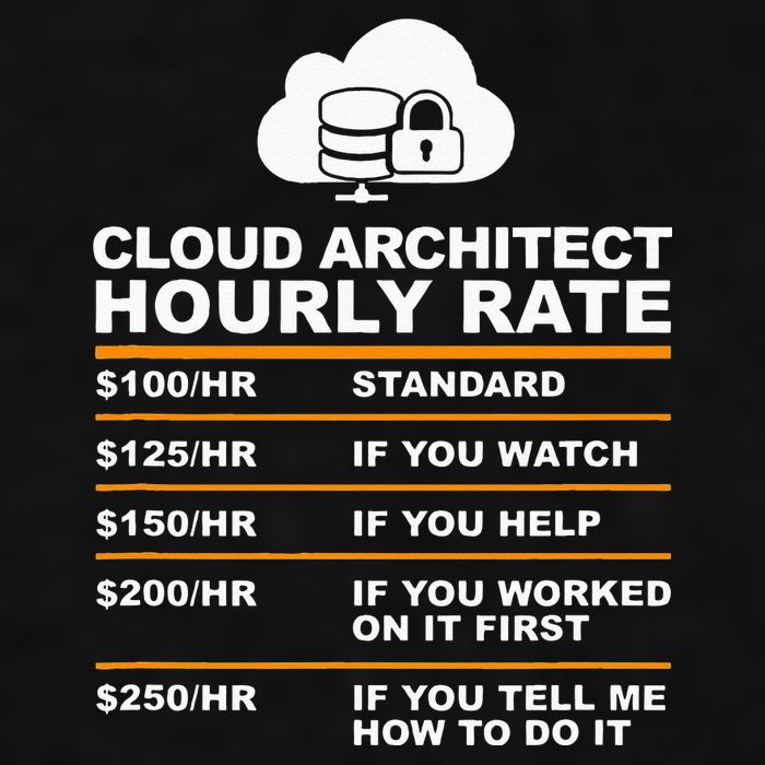 Cloud Architect hourly Rate USDProgrammer Hourly Rate Gift Ladies PosiCharge Tri-Blend Wicking Tank