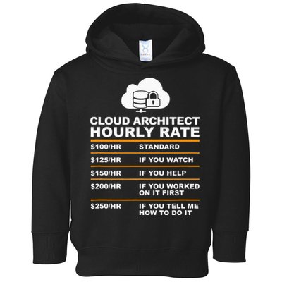 Cloud Architect hourly Rate USDProgrammer Hourly Rate Gift Toddler Hoodie