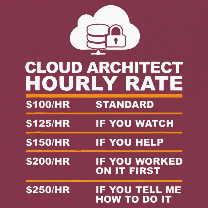 Cloud Architect hourly Rate USDProgrammer Hourly Rate Gift 16oz Travel Tumbler