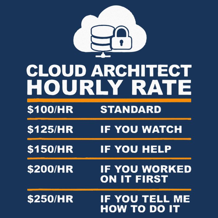 Cloud Architect hourly Rate USDProgrammer Hourly Rate Gift Infant Baby Jersey Bodysuit