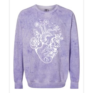 Cute Anatomical Heart Cardiac Nurse Student Gift Cute Gift Colorblast Crewneck Sweatshirt