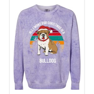 Cute All I Want For Christmas Is A Bulldog Gift Colorblast Crewneck Sweatshirt