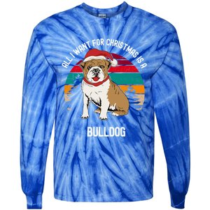 Cute All I Want For Christmas Is A Bulldog Gift Tie-Dye Long Sleeve Shirt