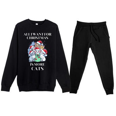 Christmas All I Want For Christmas Is More Cats Gift Premium Crewneck Sweatsuit Set