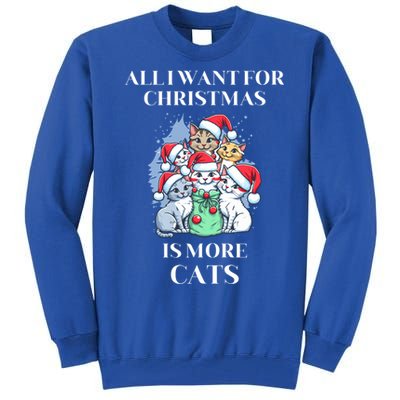 Christmas All I Want For Christmas Is More Cats Gift Tall Sweatshirt