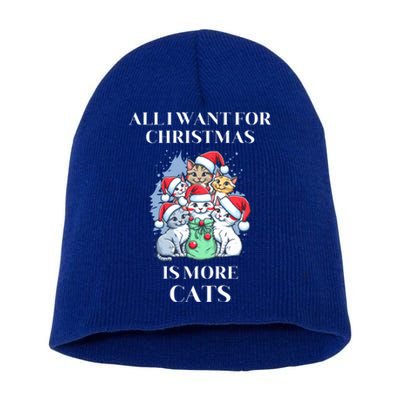 Christmas All I Want For Christmas Is More Cats Gift Short Acrylic Beanie