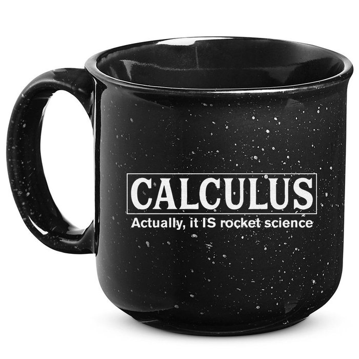 Calculus Actually It Is Rocket Science Math Student Teacher 15oz Campfire Ceramic Mug